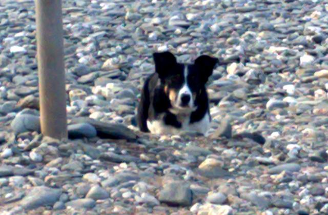 Astra keeping a low profile 